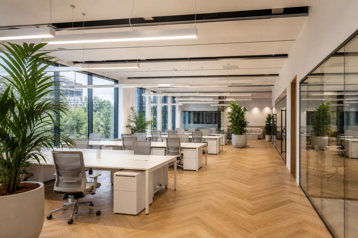 Open space rénové et lumineux avec mobilier neuf et plantes vertes